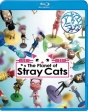（TR限）The　Planet　of　Stray　Cats　（2D＆3D）