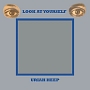 LOOK　AT　YOURSELF　（LP／180G）