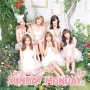 SUNDAY　MONDAY（Japanese　ver．）（B）(DVD付)