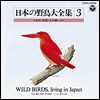日本の野鳥大全集－３