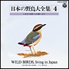 日本の野鳥大全集-4