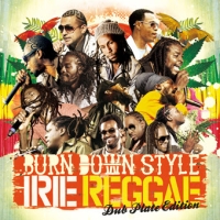 ＢＵＲＮ　ＤＯＷＮ　ＳＴＹＬＥ　“ＩＲＩＥ　ＲＥＧＧＡＥ”－ＤＵＢ　ＰＬＡＴＥ　ＥＤＩＴＩＯＮ－