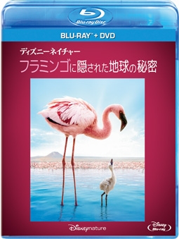 ディズニーネイチャー／フラミンゴに隠された地球の秘密　ブルーレイ＋ＤＶＤセット