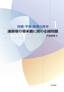 連接層の導来圏に関わる諸問題　問題・予想・原理の数学１