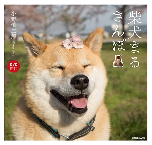 柴犬まるさんぽ