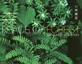 森　PEACE　OF　FOREST