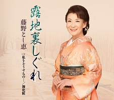藤野とし恵全曲集/藤野とし恵 - レンタルCD｜TSUTAYA レンタル・販売
