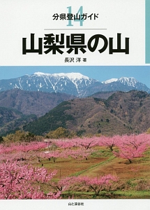 山梨県の山