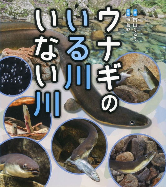ウナギのいる川いない川