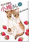 キジトラ猫の小梅さん１４