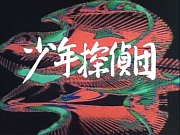 甦るヒーローライブラリー　第59集　少年探偵団　BD7　DVD－BOX　HDリマスター版