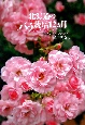 北海道のバラ栽培12カ月　コツがわかる、私の庭づくり