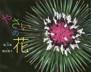 やさいの花
