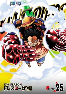 ＯＮＥ　ＰＩＥＣＥ　ワンピース　１７ＴＨシーズン　ドレスローザ編　ｐｉｅｃｅ．２５