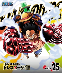 ＯＮＥ　ＰＩＥＣＥ　ワンピース　１７ＴＨシーズン　ドレスローザ編　ｐｉｅｃｅ．２５