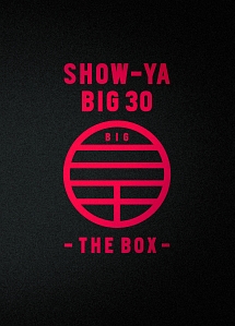 ＳＨＯＷ－ＹＡ　ＢＩＧ　３０－ＴＨＥ　ＢＯＸ－