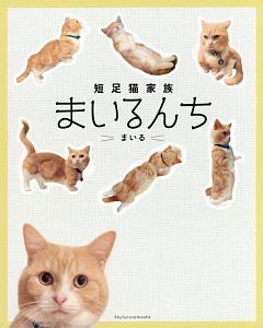 短足猫家族　まいるんち