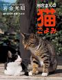 卓上カレンダー　岩合さんの猫ごよみ　2017