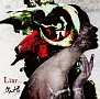 Liar．．．（A）(DVD付)