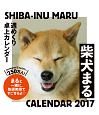 柴犬まる　週めくり卓上カレンダー　2017