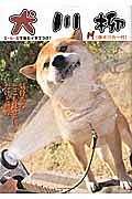 犬川柳　柴犬バカ一代