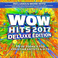 ＷＯＷ　ＨＩＴＳ　２０１７　（ＤＥＬＵＸＥ　ＥＤＩＴＩＯＮ）