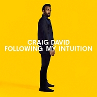 ＦＯＬＬＯＷＩＮＧ　ＭＹ　ＩＮＴＵＩＴＩＯＮ