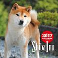 2017年大判カレンダー　柴犬
