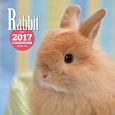 2017年大判カレンダー　ウサギ