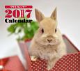 2017年ミニカレンダー　ウサギ