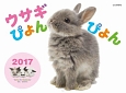 ウサギぴょんぴょんカレンダー　2017
