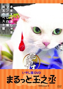 いやし猫DVD　猫侍　まるっと玉之丞