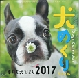 犬めくりカレンダー　リフィル　2017