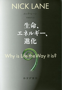 生命、エネルギー、進化