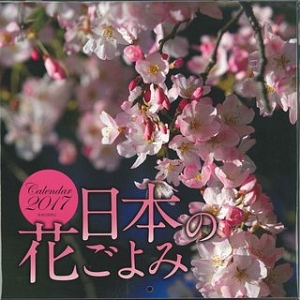 花 カレンダー 17の通販 価格比較 価格 Com