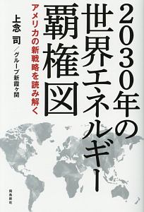 ２０３０年の世界エネルギー覇権図