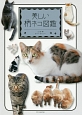 美しい柄ネコ図鑑