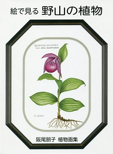 絵で見る　野山の植物　阪尾朋子植物画集