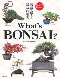 Ｗｈａｔ’ｓ　ＢＯＮＳＡＩ？