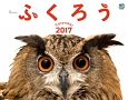 ふくろうカレンダー　2017