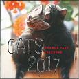 猫カレンダー　2017
