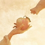 りんごの木(DVD付)