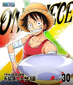 ＯＮＥ　ＰＩＥＣＥ　ワンピース　１７ＴＨシーズン　ドレスローザ編　ｐｉｅｃｅ．３０