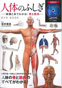 人体のふしぎ　映像と本でわかる！　骨と筋肉　ＤＶＤ　ＢＯＯＫ