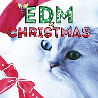 Edm Christmas オムニバス 本 漫画やdvd Cd ゲーム アニメをtポイントで通販 Tsutaya オンラインショッピング