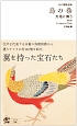江戸博物文庫　鳥の巻　天地に舞う