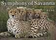 Symphony　of　Savanna