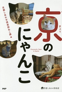 京のにゃんこ
