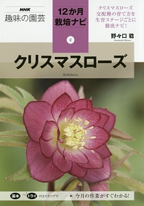 クリスマスローズ　ＮＨＫ趣味の園芸　１２か月栽培ナビ２