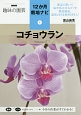 コチョウラン　NHK趣味の園芸　12か月栽培ナビ3